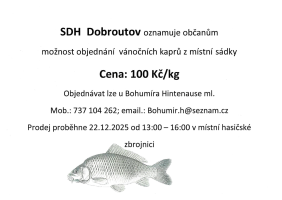 Ilustrační obrázek